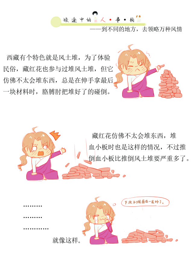 神农本草藏红花,中华本草藏红花