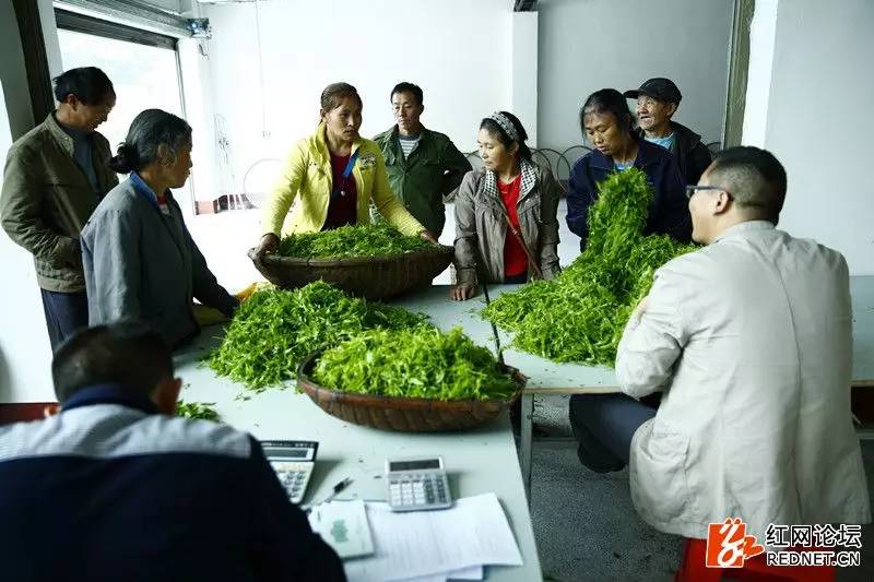 传说中的世外桃源：走进千年土家长寿村