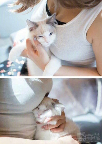 舔第二碗时，丈母娘拉我的手说：放这儿吧！等下我来洗