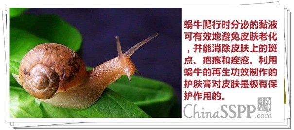 评测丨开启肌肤新生之旅nuganic绿康丽订制型高效营养修复蜗牛霜