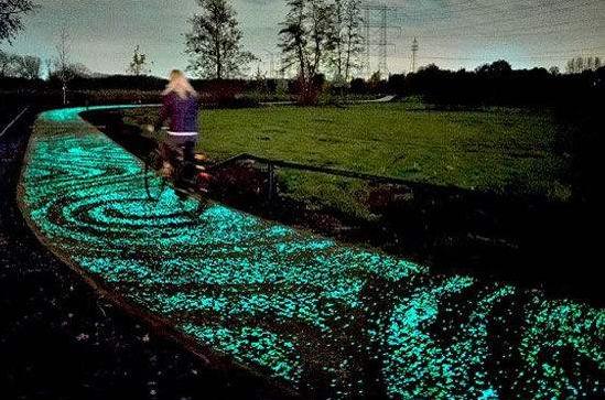 荷兰街头自行车 (荷兰自行车的奇怪事)