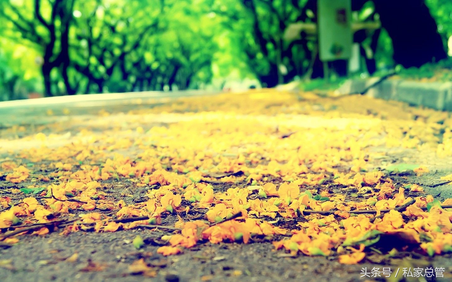 哀大莫过于心死，心死莫过于一笑失望到一定程度后，反而会开出一朵花来，那朵花的名字叫，无所谓