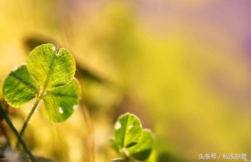 哀大莫过于心死，心死莫过于一笑失望到一定程度后，反而会开出一朵花来，那朵花的名字叫，无所谓
