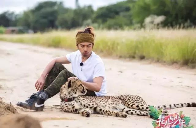 赵又廷胡歌黄轩,赵又廷胡歌哪个厉害