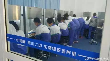 银川二中是什么档次,银川二中简介及分析