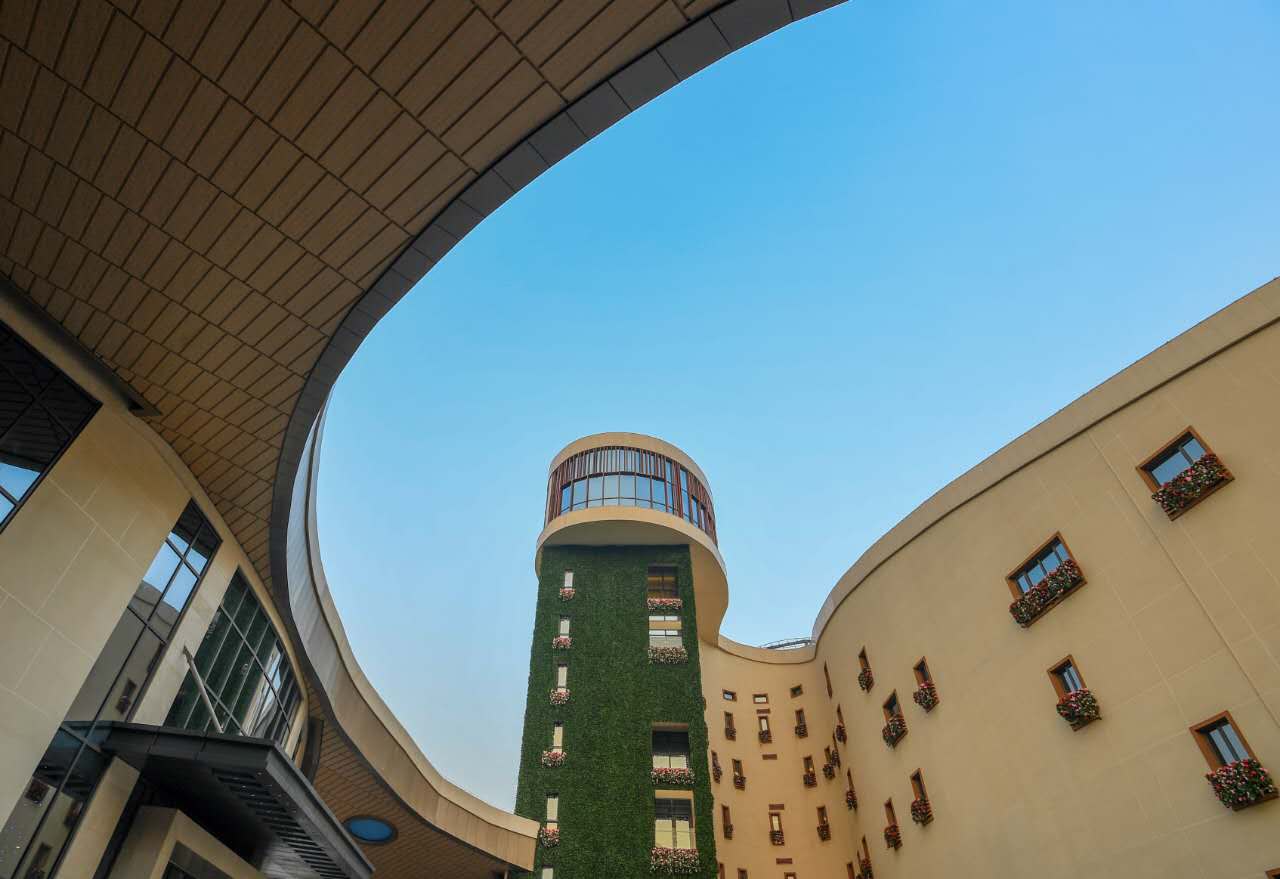 我在生命湖酒店吃了顿“横”的，厨师是奥运会的特级“选手”