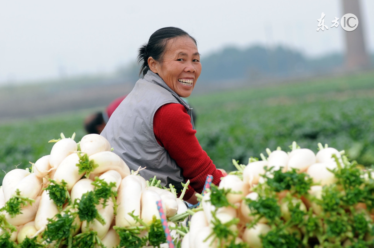 农村养老保险到多大年龄能领钱,农村养老保险多大能够领钱