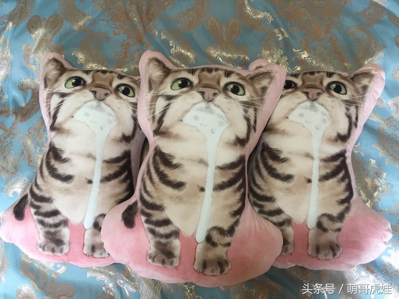 喵星人偷吃被主人发现这表情超赞,猫咪太胖铲屎官帮它减肥