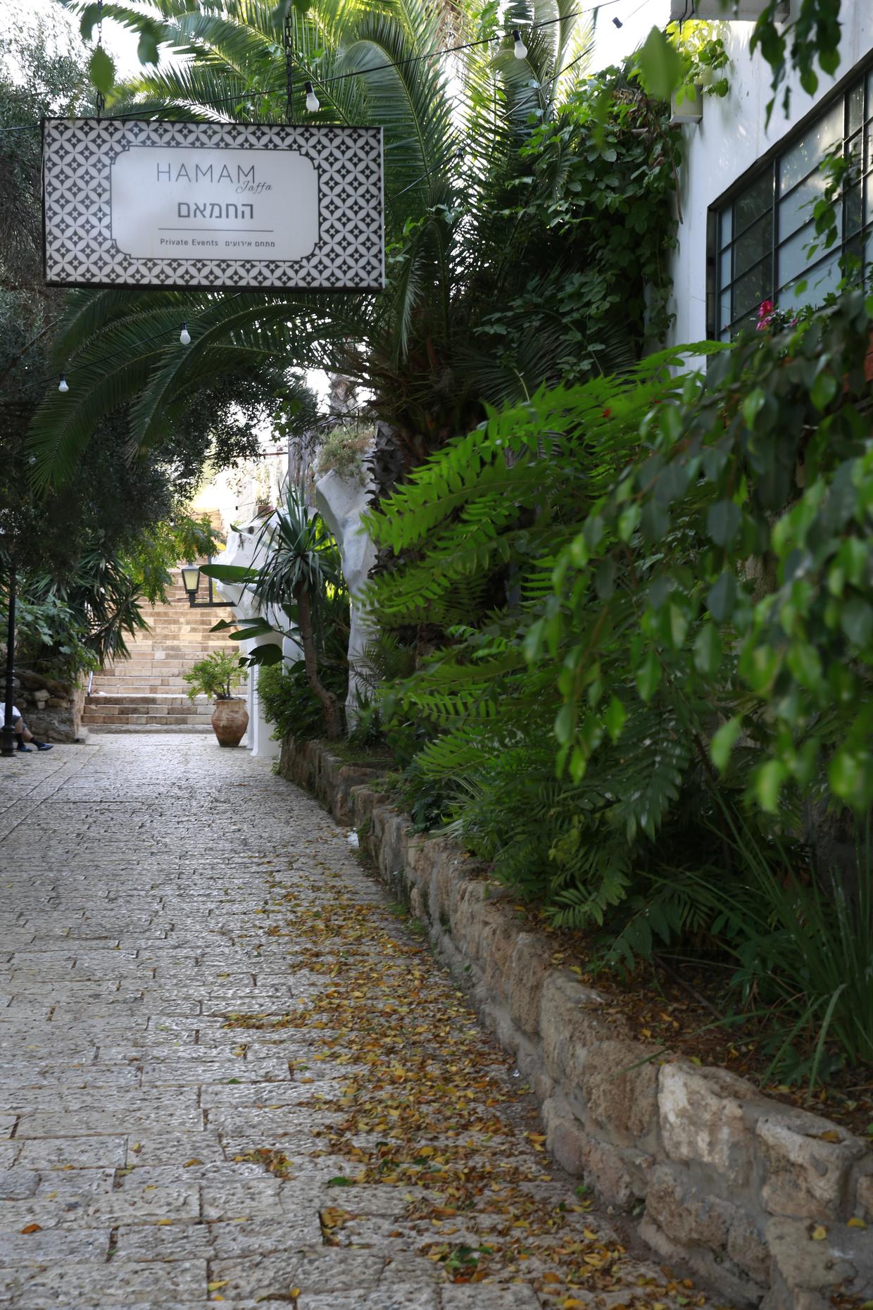 以色列特拉维夫闹市区 (以色列特拉维夫白色之城繁荣原因)