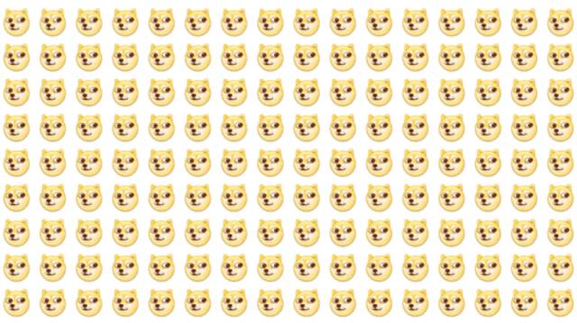 ysl合适混干的气垫,全网最火爆的ysl气垫