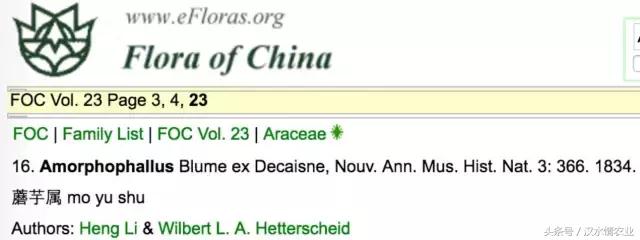 「富硒集市」到底是魔芋、磨芋、还是蘑芋？