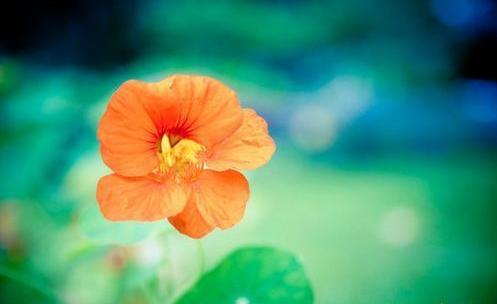 约会女生经常迟到正常吗,约会总迟到的女人