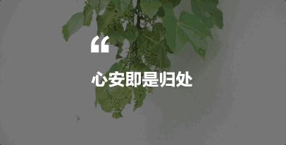 外婆家设计师沈雷作品,设计师沈雷