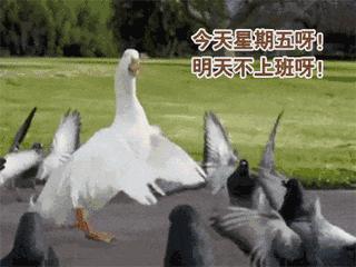 雨露均沾独宠我一人句子,宠你的语录