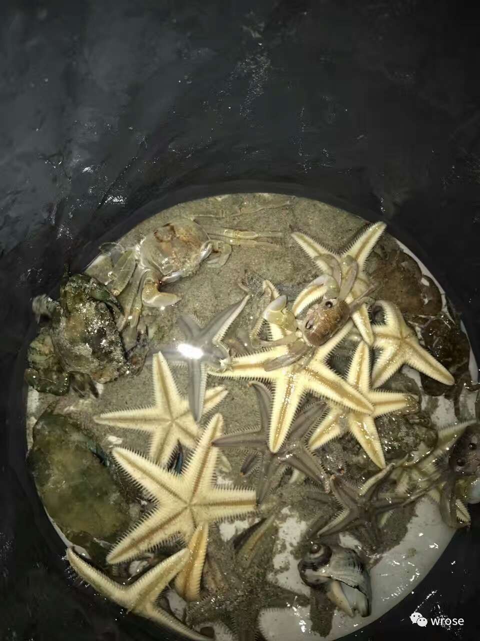 香港徒步行程大全,香港能够徒步吗