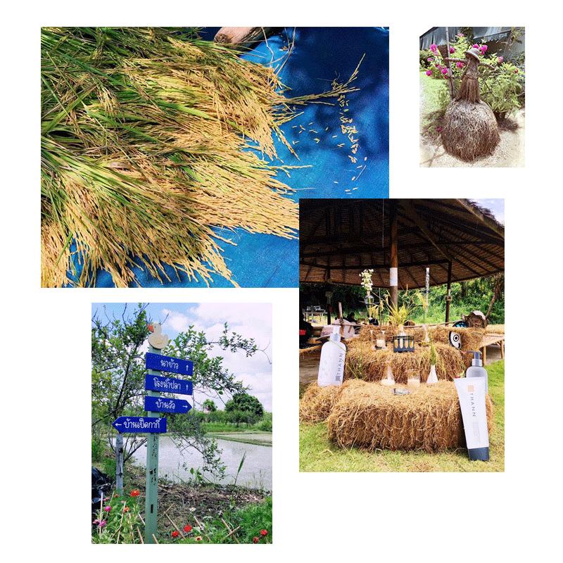 曼谷夜生活游记,泰国曼谷旅行攻略图片高清