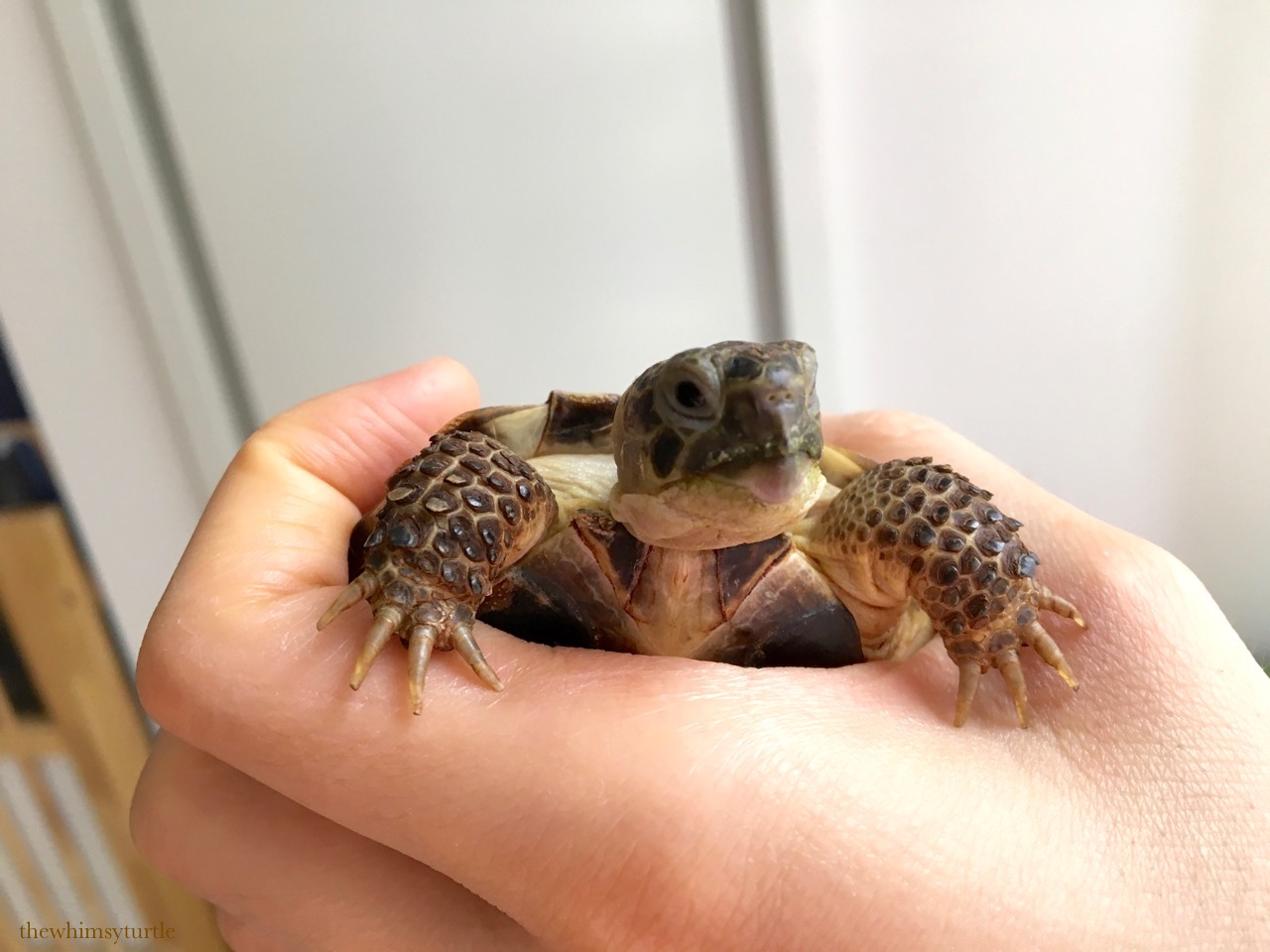 一个人很孤单该干什么呢,一个人很孤单做什么最合适