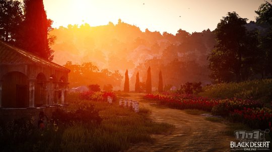 “迟到”几年的《黑色沙漠》靠什么打动中国玩家？