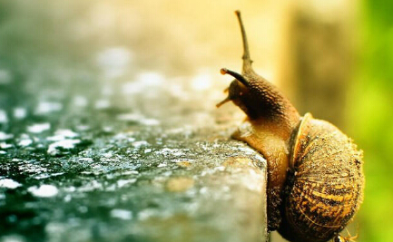 没有上万的点击量，没有过百的粉丝，我只是一个带着对孩子爱的初心，一直坚持着育儿码字的孩子他妈