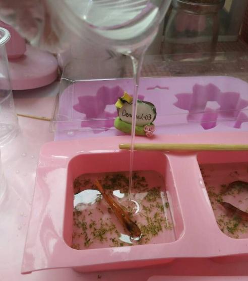 小小的金鱼死了怎么才能救活,彩色的金鱼死了还能够救活吗