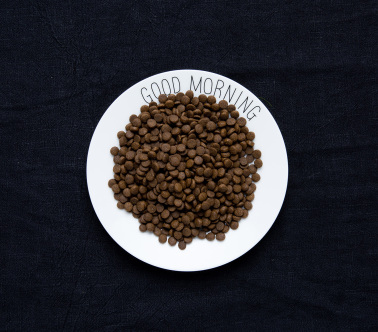 我们用米其林餐厅的调调，给狗粮做了一次整容手术