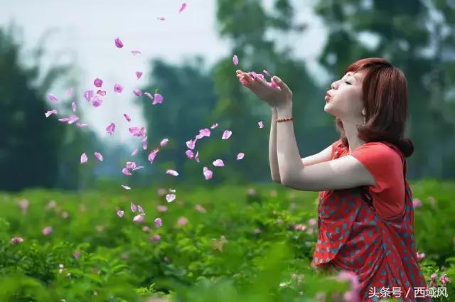 都说台湾民宿有特色，现在，昌吉也有了这样的好地方，它的名字叫芸农庄