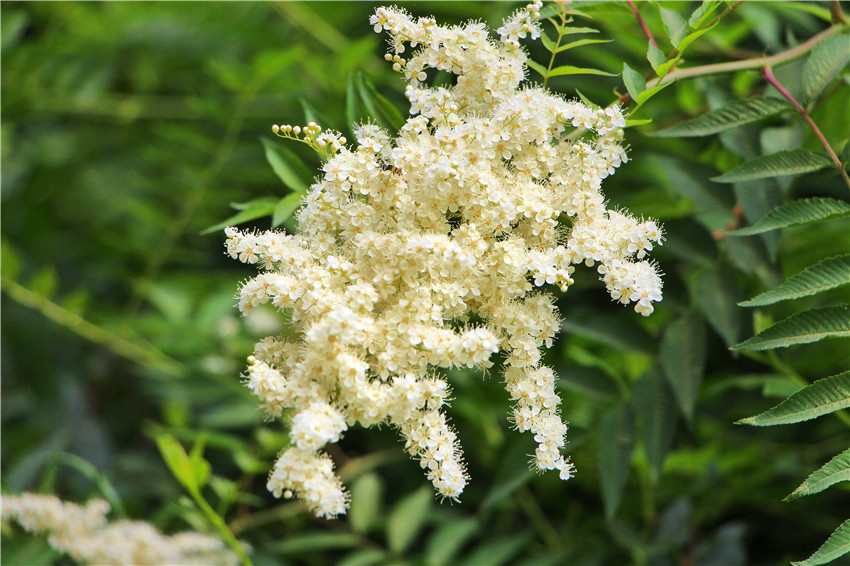 宁夏沙坡头旅游视频,宁夏中卫沙坡头旅游攻略