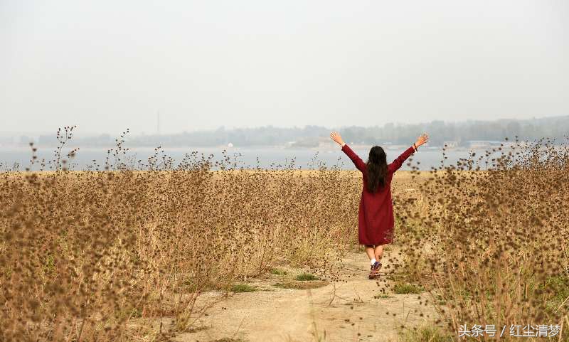 岁月如歌美人依旧的诗句,岁月如斯美人依旧