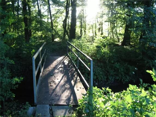 远离市区20公里住在月租600元的房子里，却能够在屋前看麦田，屋后看竹林，自给自足的生活是这样啊~