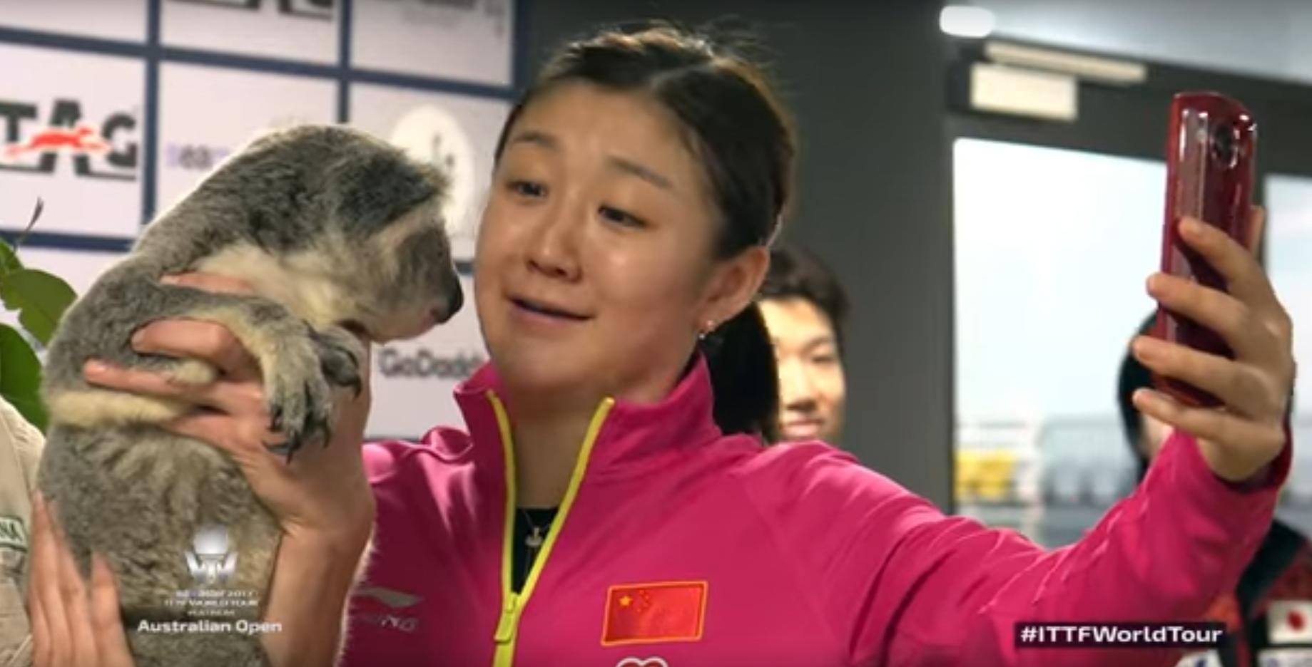 澳洲公开赛乒乓球丁宁与孙颖莎,澳洲公开赛陈梦与王曼昱比赛