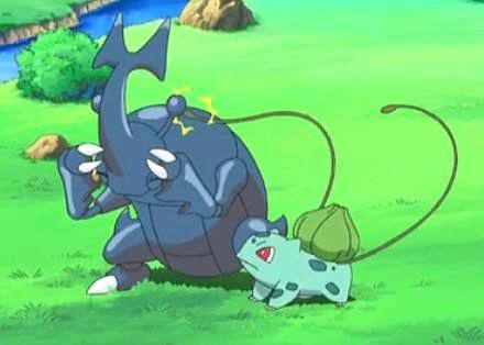 宠物小精灵小智手中最强10只精灵,宠物小精灵之精灵培育