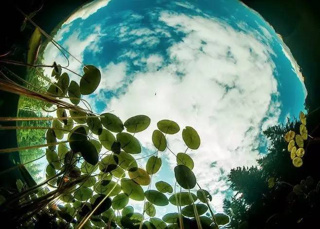 腾讯为了妥协，竟然不要日活上线防沉迷机制