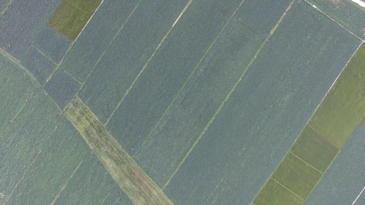 丹东日本豆腐,丹东水豆腐哪家好吃