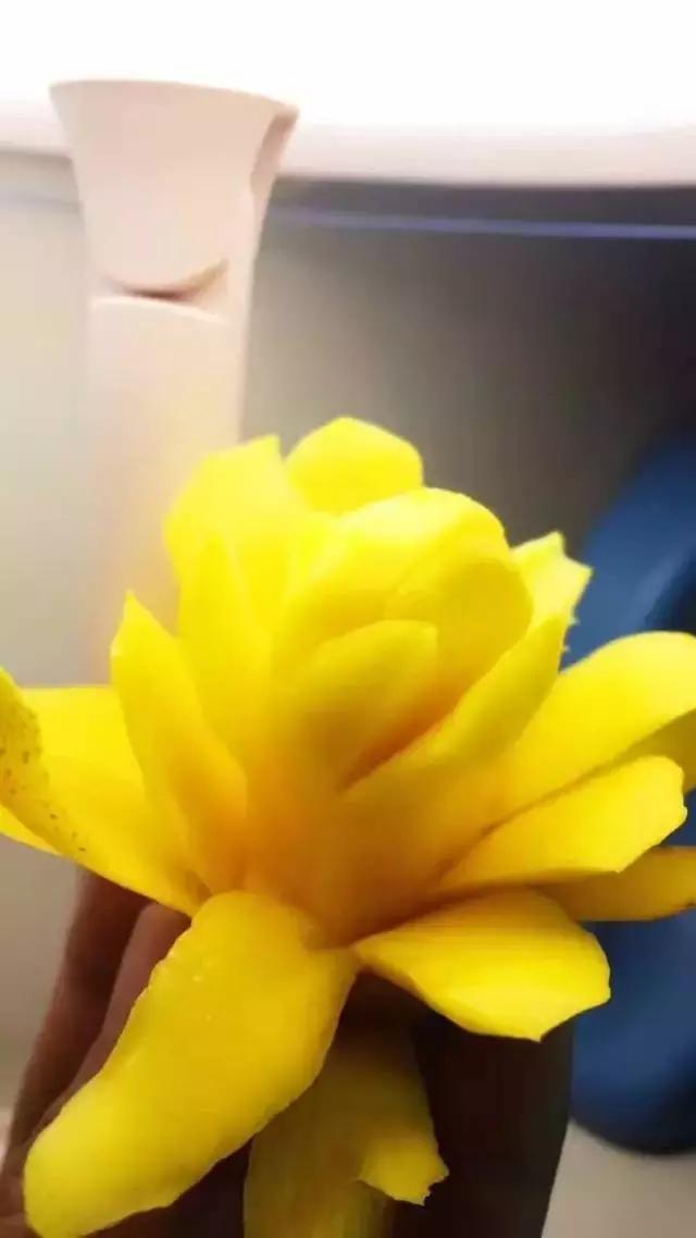 蔷薇水果店~“品控达人”的福音！