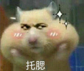 霓虹业界蛇皮走位，包月畅玩R18鸡儿无休