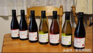 100日元日本超市能买到什么,三千日元在日本百元店能买什么