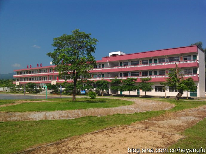 德庆凤村镇九龙小学简介,德庆县凤村九龙小学