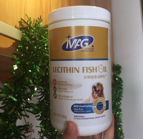 铲屎官怎样清理家里的狗毛,家里怎么防狗毛