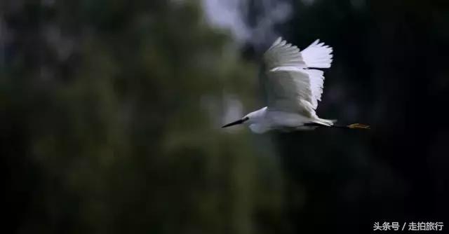 滁州游玩攻略潮玩街区,滁州最值得玩的地方