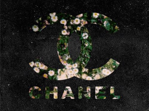 chanel香奈儿季节款,香奈儿chanel值得入手的款式