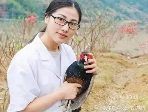 身价能过千万！看看这些养殖人的商业模式如何玩