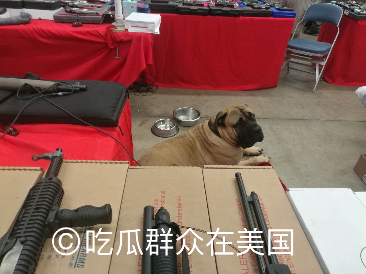 美国佛罗里达州枪展,在美国逛枪展