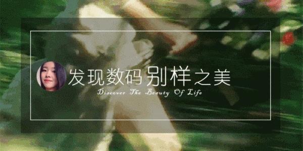 1000左右真全面屏手机,千元全面屏手机这4款超值