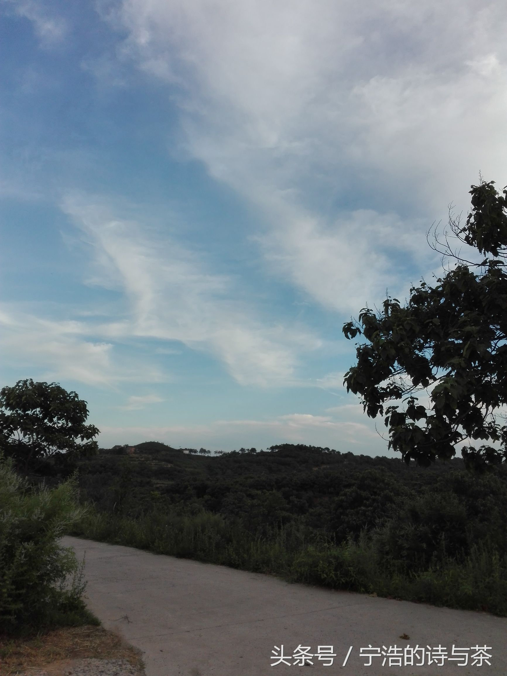 那土坯小屋里的惊魂一夜蝎子蛰伏在我头顶瓦片上