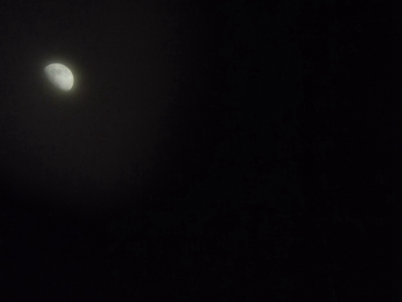 云光熊猫望远镜评测,云光熊猫与熊猫望远镜的区别