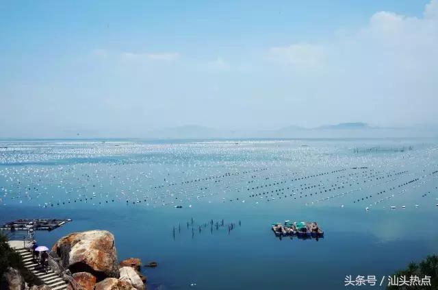 潮汕吃货,潮汕人夏天必备美食