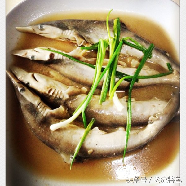 鲨鱼，今天小编教大家做鲨鱼肉这道菜、鲨鱼基本生活习性大概知识