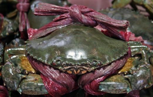 三亚旅游防蚊虫攻略,三亚防宰攻略详细