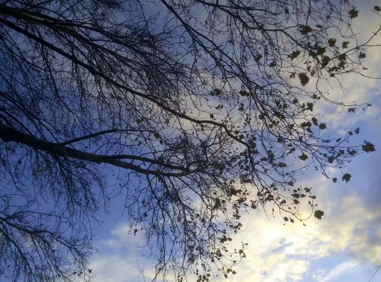 带给了我们很多便利英语,英语带来的个人收获英语