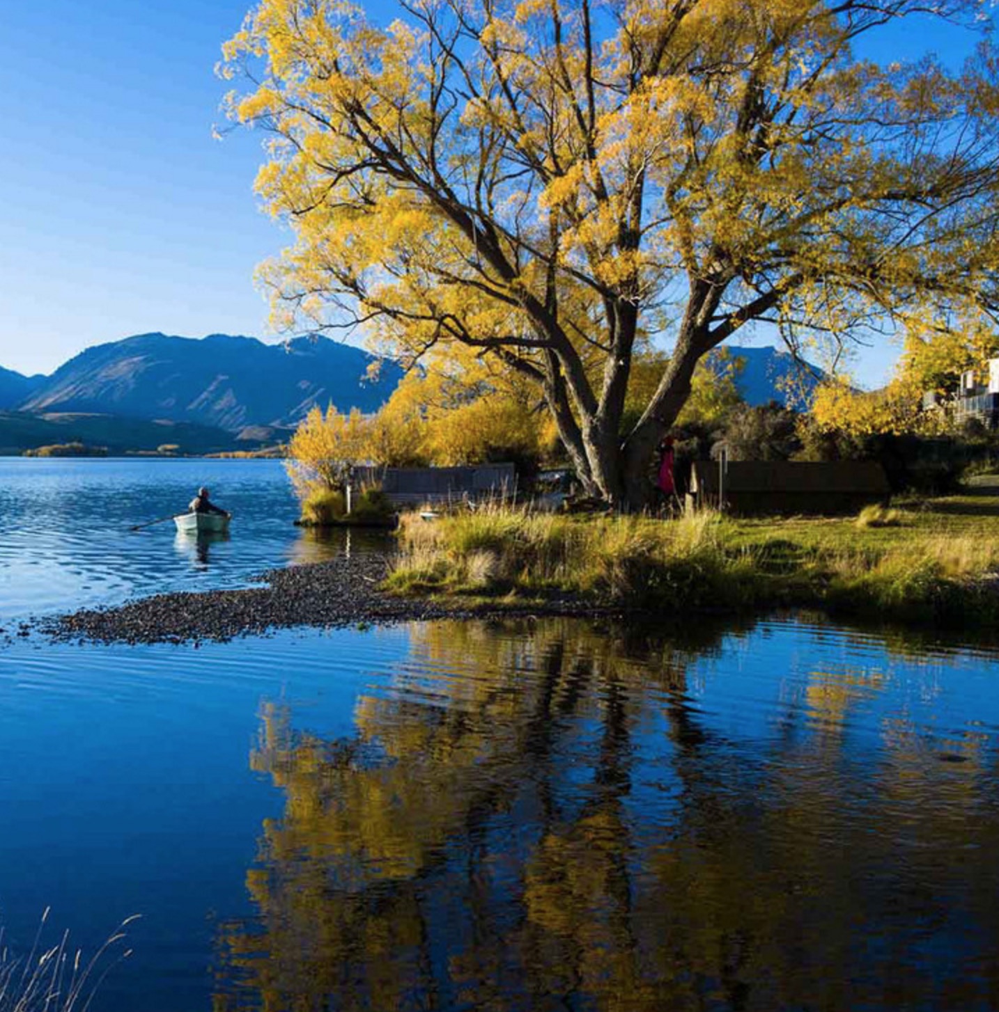 新西兰南岛的冬天,新西兰南岛秋天最佳时间